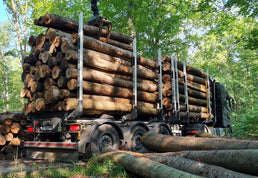 Gemischtes Nadelholz Stammholz